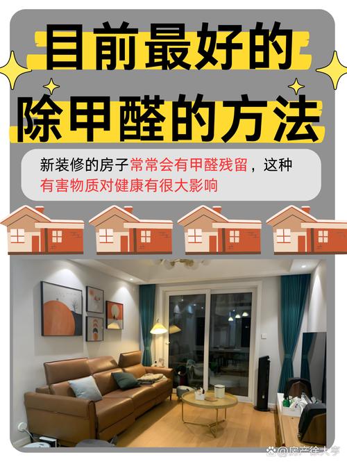 配合空气净化设备,同时借助植物吸附和化学方法,能够更好地保障室内